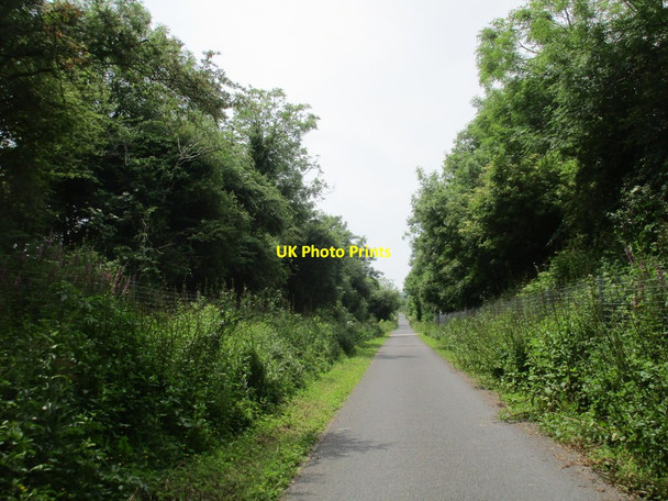 Photo 6"x4" The Waterford Greenway Stradbally c2017