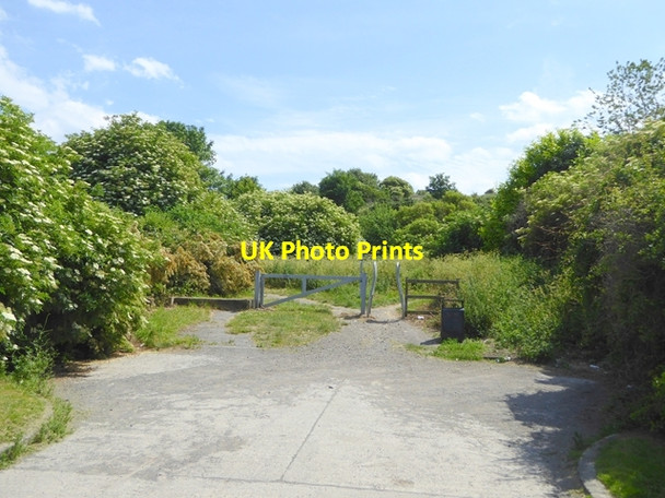 Photo 6"x4" Entrance to Marsden Old Quarry Local Nature Reserve Marsden\/NZ3964 c2017