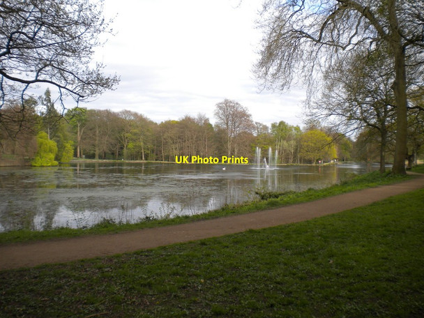 Photo 6"x4" Upper Lake, Roundhay Park (1) Lady Wood\/SE3337 c2017