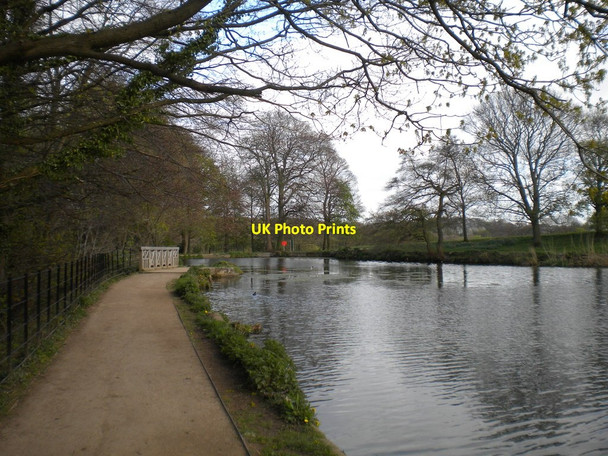 Photo 6"x4" Upper Lake, Roundhay Park (4) Lady Wood\/SE3337 c2017