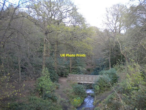 Photo 6"x4" Wooded valley, Roundhay Park Lady Wood\/SE3337 c2017