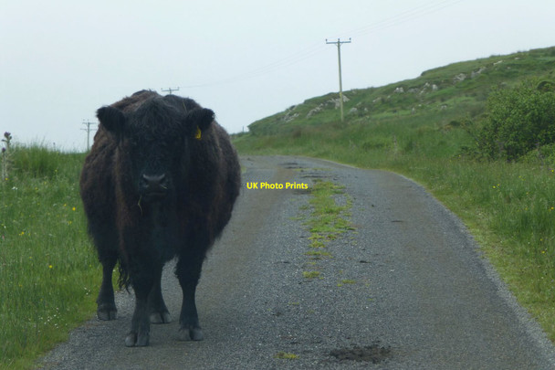 Photo 6"x4" On the road to Portnahaven Claddach c2017
