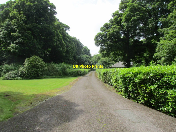 Photo 6"x4" Driveway to Warrenscourt Kilmurry c2017