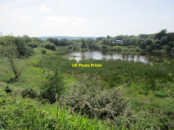 Photo 6"x4" The entry of the Buingea River into the Upper Lee Reservoir Kilmurry c2017