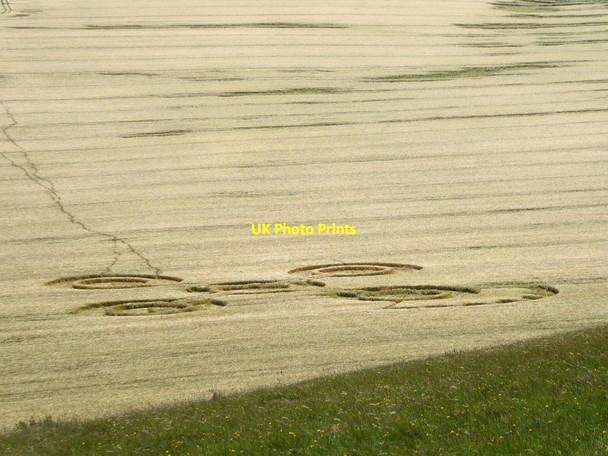 Photo 6"x4" Crop-circles below Milk Hill Alton Barnes c2017