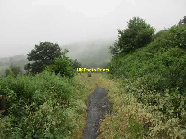 Photo 6"x4" Forest track by the Sugar Loaf Sugar Loaf\/SN8342 c2017