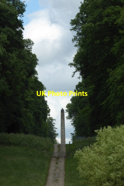 Photo 6"x4" Obelisk from the arboretum Bulmer\/SE6967 c2017