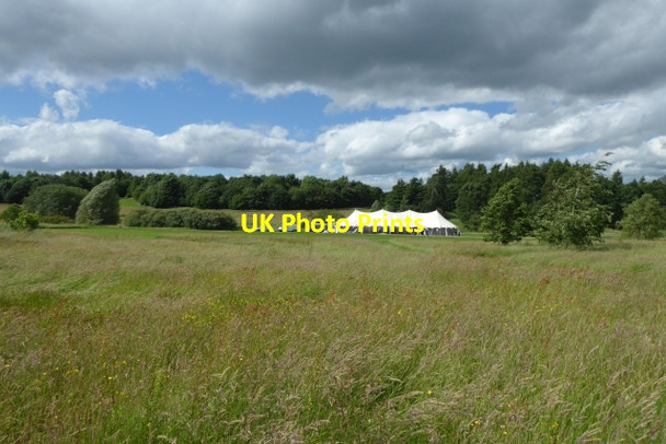 Photo 6"x4" Grass meadows in the arboretum Bulmer\/SE6967 c2017