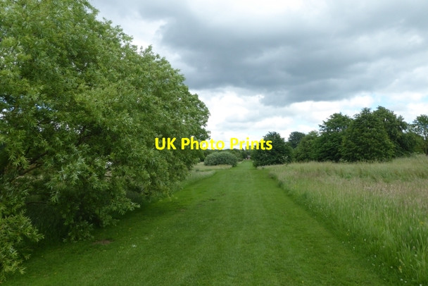 Photo 6"x4" Path in the Yorkshire Arboretum Bulmer\/SE6967 c2017