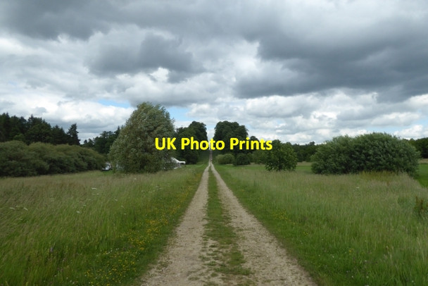 Photo 6"x4" Track to the obelisk Bulmer\/SE6967 c2017