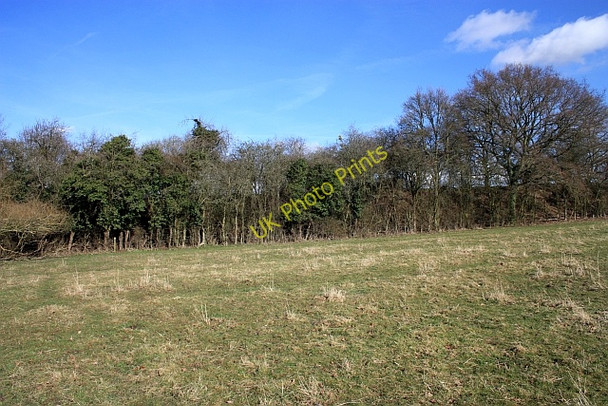 Photo 6"x4" Railway Embankment Gilver's Lane c2009