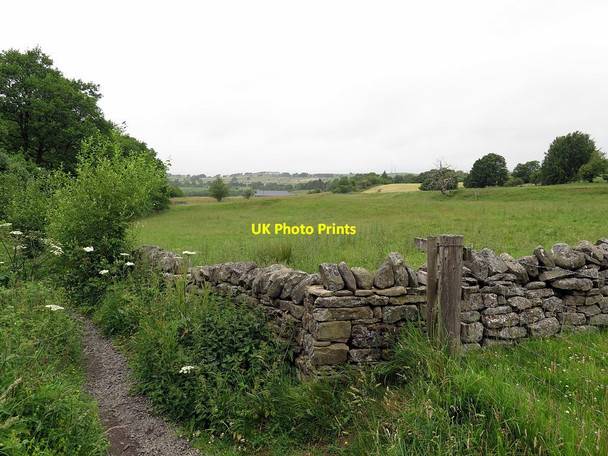 Photo 6"x4" Field near Allen Mill Allendale Town c2017