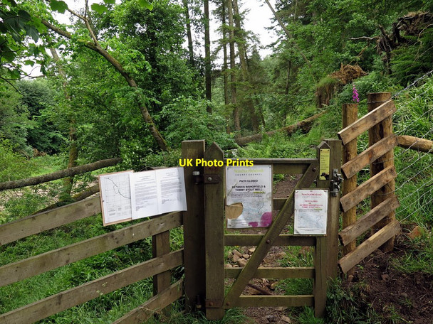 Photo 6"x4" Closure of footpath at Bees Bank Catton\/NY8257 c2017
