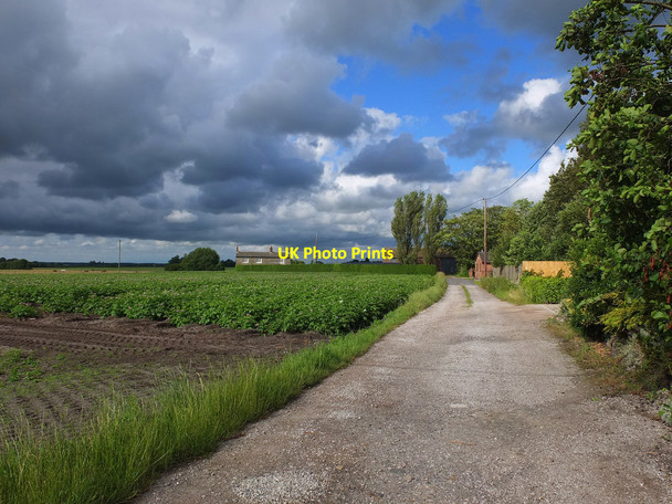 Photo 6"x4" Track to Moss House Farm, Ormskirk Ormskirk c2017