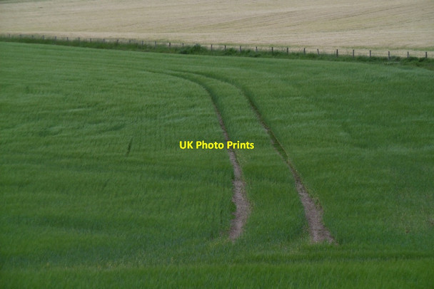Photo 6"x4" Tramlines, Busby Methven c2017