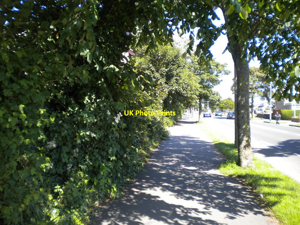 Photo 6"x4" Pavement along Westgate, Morecambe Morecambe c2017