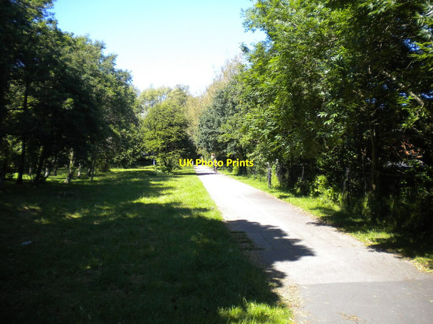 Photo 6"x4" Footpath and cycleway off Langridge Way, Morecambe Morecambe c2017