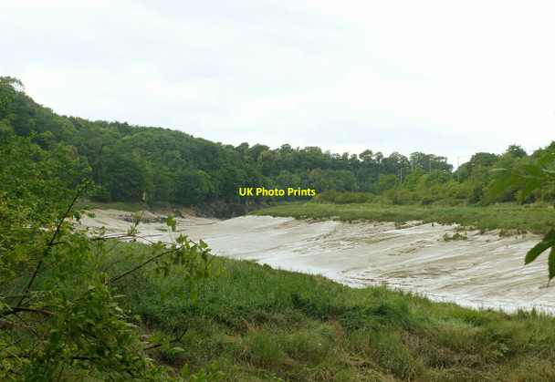 Photo 6"x4" River Avon below Leigh Woods Sneyd Park c2017