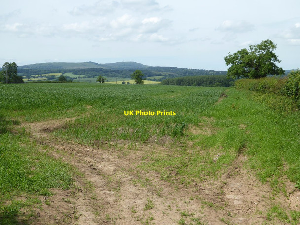 Photo 6"x4" Farmland to the north of Neen Savage Neen Savage c2017