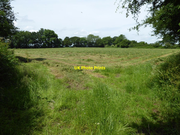 Photo 6"x4" Hay field Bagginswood c2017
