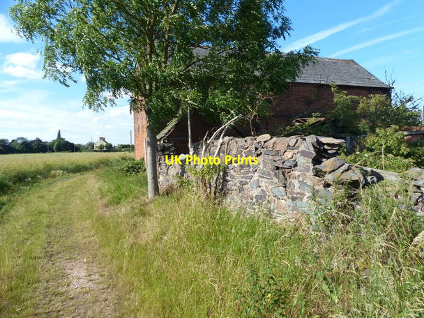 Photo 6"x4" Marshdale Farm near Cossington Cossington\/SK6013 c2017