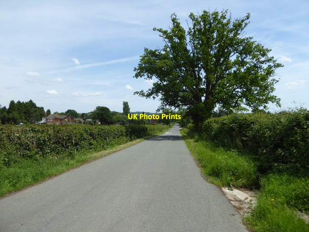 Photo 6"x4" Country road near Oreton Oreton c2017