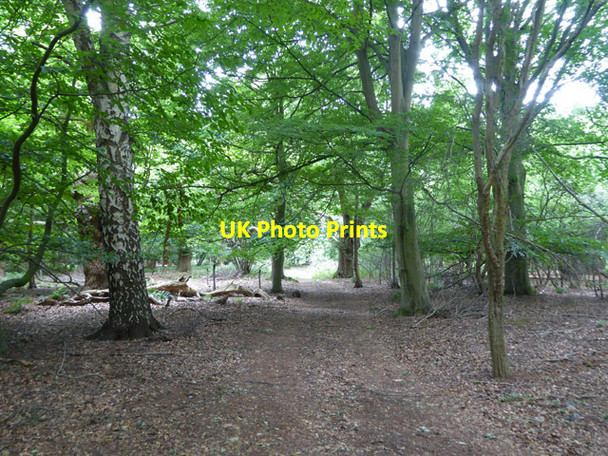 Photo 6"x4" Old Broom Risby\/TL7966 c2017