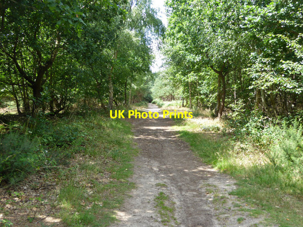 Photo 6"x4" Ride, King's Forest West Stow c2017