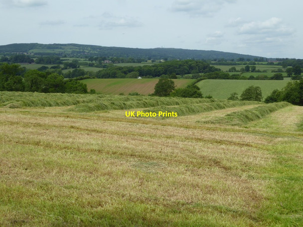 Photo 6"x4" Silage making Farlow c2017