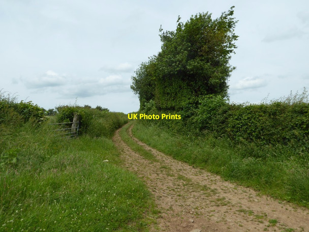 Photo 6"x4" Farmland access track Farlow c2017