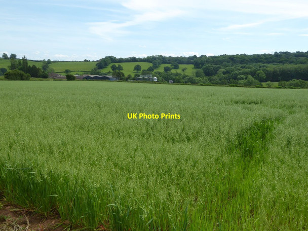 Photo 6"x4" Farmland near Lowe Farm Farlow c2017