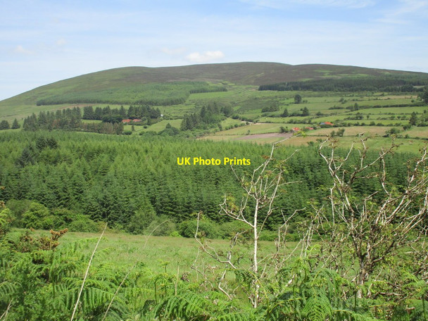 Photo 6"x4" View towards Knocknanask Cappoquin c2017