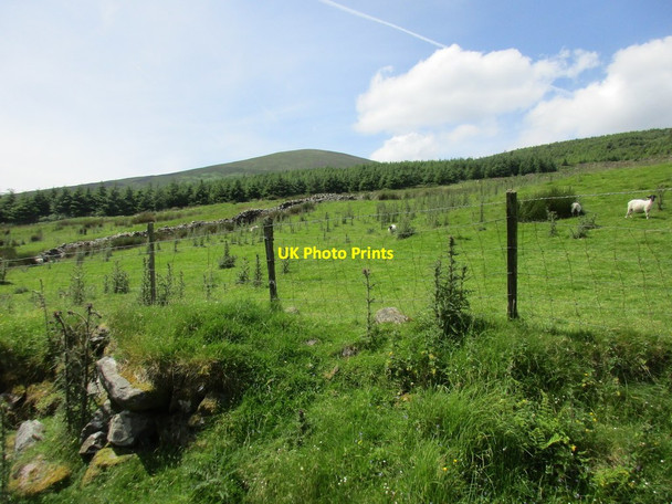 Photo 6"x4" View towards Knocknafallia Newcastle\/S1213 c2017