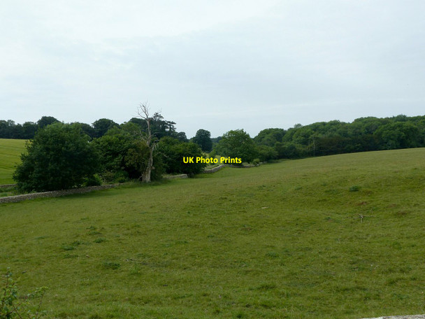 Photo 6"x4" View towards Bowldown Wood Leighterton c2017