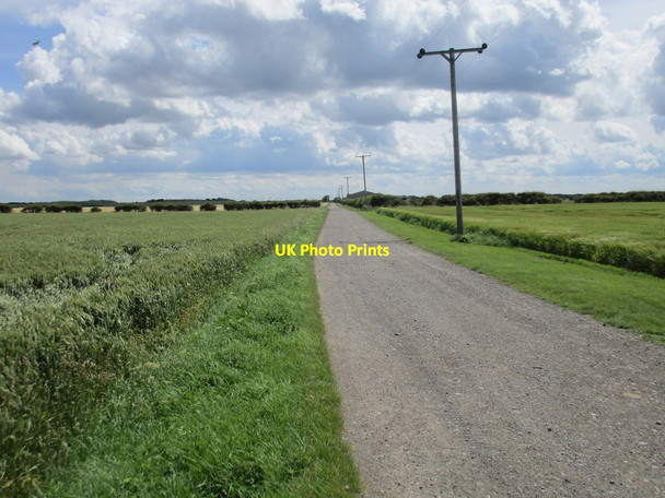 Photo 6"x4" Farm track to Ringbrough East Newton\/TA2637 c2017