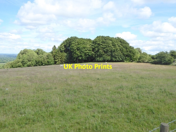 Photo 6"x4" West Woodhay Down Combe\/SU3760 c2017