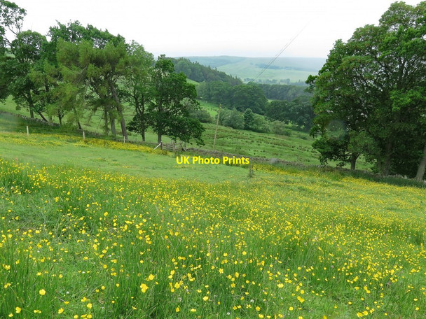 Photo 6"x4" Footpath between Harlow Bower & Monk Bearsbridge c2017