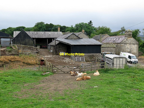 Photo 6"x4" Monk Farm Bearsbridge c2017
