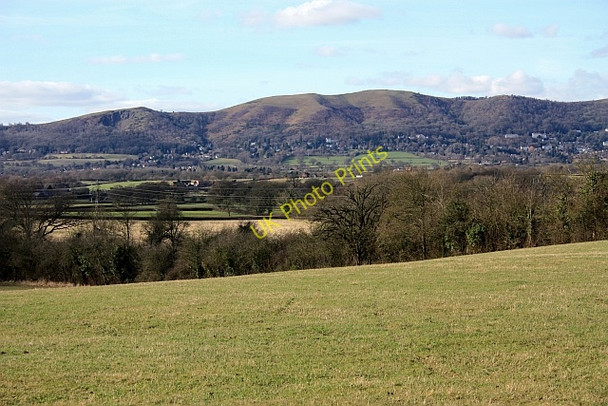 Photo 6"x4" Hay Pasture near Brotheridge Green Gilver's Lane c2009