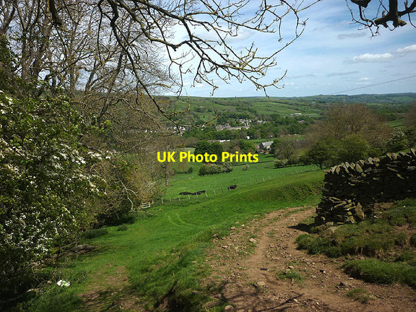 Photo 6"x4" Footpath above Weardale Bridge End\/NZ0136 c2017