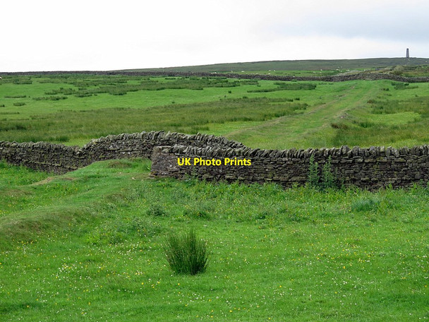 Photo 6"x4" Remains of Allen Smelt Mill flue near Frolar Meadows Allendale Town c2017