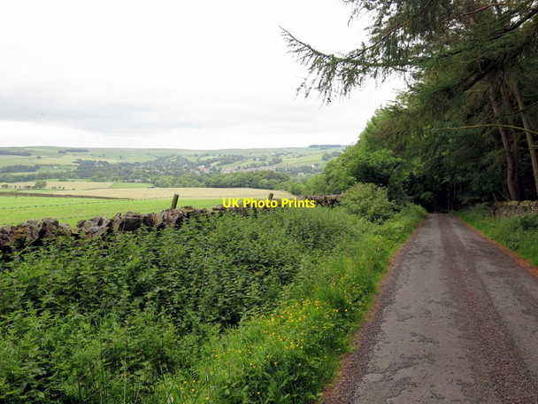 Photo 6"x4" Minor road east of Frolar Meadows Allendale Town c2017