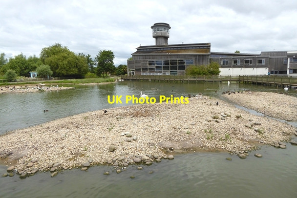 Photo 6"x4" Visitor Centre at WWT Slimbridge Shepherd's Patch c2017