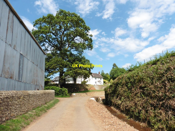Photo 6"x4" Lower Curscombe Farm Lower Cheriton c2017