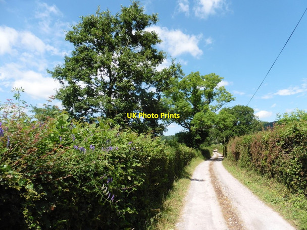 Photo 6"x4" Track to Grange Farm Wolverstone c2017