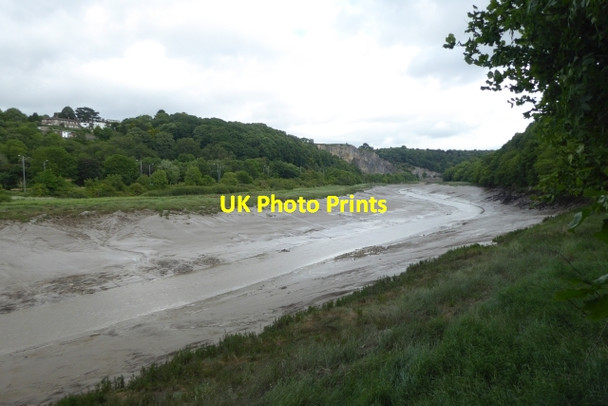 Photo 6"x4" Along the River Avon Sneyd Park c2017