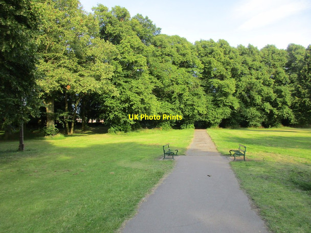 Photo 6"x4" Path in Weelsby Woods Cleethorpes c2017