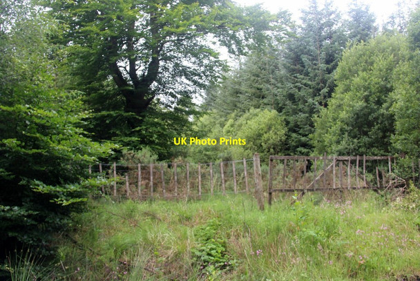 Photo 6"x4" Old gate into Stottleburn Wood Methven c2017