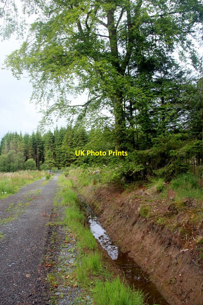 Photo 6"x4" Timber extraction road in Barselton wood Methven c2017