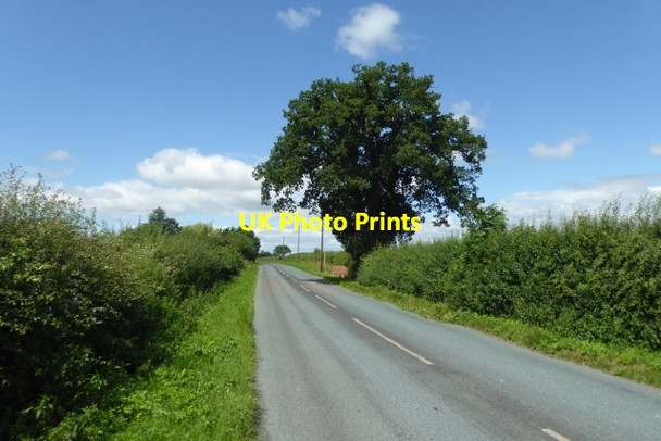 Photo 6"x4" Between Thorganby and Skipwith Thorganby\/SE6941 c2017
